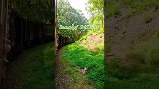 Sri Lanka Kandy to Nuwara Eliya by train best view #kandy #srilanka #srilankatravel #travel #shorts