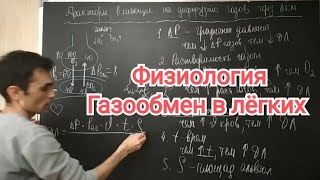 Физиология дыхание. Газообмен в лёгких. Альвеолярно - капиллярное мембрана.