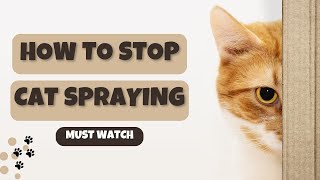 Cat Spraying No More | Cat Owners Beware: The Shocking Secret to End Cat Spraying Forever!