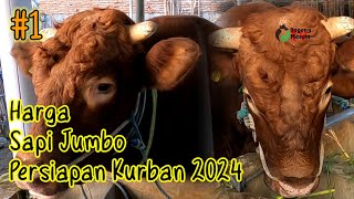 Harga sapi 956 kg , siap kurban. #1