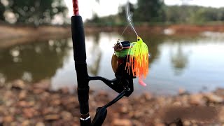 Bass Fishing Local Creek