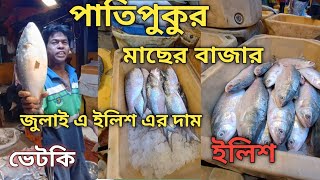 পাতিপুকুর মাছের বাজারে ইলিশ এর দাম || Hilsa Price Kolkata ||মাছের দাম জুলাই 2024 কলকাতা ||