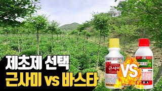 나무농장 제초제 선택 근사미 vs 바스타 | 나무대장🌳 나무농사의 모든것