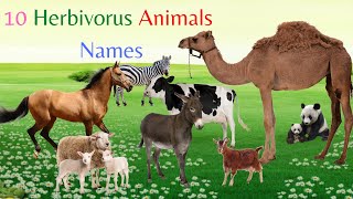 The World of Herbivores - Meet the 10 Plant-Eating Animals | Learn Name, spelling and their sound