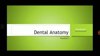 Dental Anatomy Practice 2 INBDE