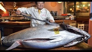 BEGIN Japanology - Tsukiji Market