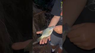 Fishing for Crappies