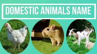 Domestic animals name english and tamil // a-z animals names