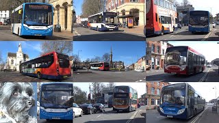 Buses in Banbury with Ruby (April 2023)