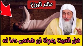 هل الميت يشعر بالدعاء له شاهد ماذا قال الشيخ مصطفى العدوي