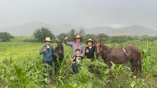 QUE CHULADA SE VINO LA LLUVIA MUY FUERTE  EMPEZANDO A TRABAJAR