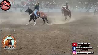 El toro pingüino de rancho ceja de los hermanos reyes del salitre Michoacan ganador de los 20,000 💰