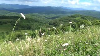 Max Patch, North Carolina