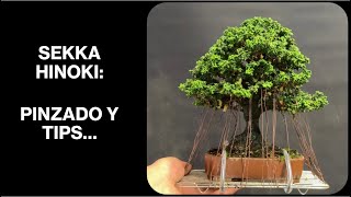 SEKKA HINOKI: PINZADO Y TIPS...