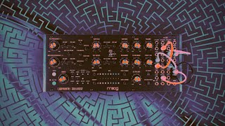 Fishing for Techno ideas with Moog Labyrinth 🎛️