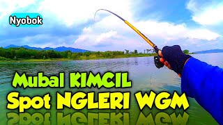 Ikan nya Mubal Dupak Dupakan || Mancing Nyobok Terbaru WGM