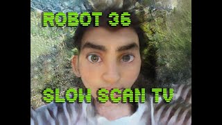 0068 Toonify SSTV Robot36