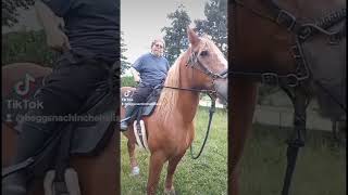 Hubs and I exercising the horses.