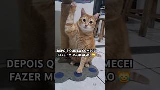 CONHECE ALGUÉM ASSIM? 😹 #fitness #academia #musculação #fypシ゚viral