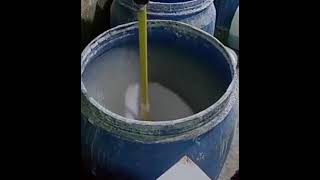 This is how we can get pure #milk | اصلی دودھ حاصل کریں !!