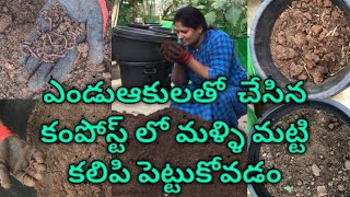 Dry Leaf Compost // ఎండు ఆకులతో చేసిన కంపోస్ట్