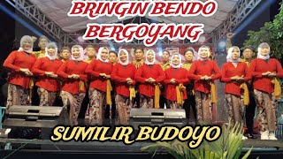 KEMERIAHAN HUT RI DI RT 3 BRINGINKULON BRINGINBENDO