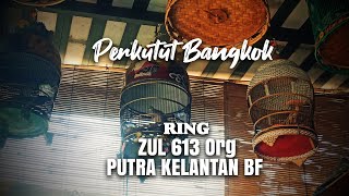 Perkutut Bangkok Gacor Putra Kelantan Bird Farm Ring ZUL 613 vs Perkutut Putih Kapas Mata Merah