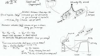 Dead Space 2 - Calculating Dead Space, Capnography and EtCO2