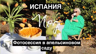 Фотосессия в апельсиновом саду. Испания, февраль, влог. Жизнь со вкусом