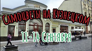 Самоцветы на Кузнецком. Раскладываемся на выставке. 11-14 сентября.