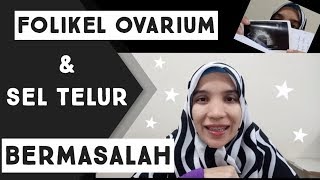 Folikel Ovarium  & Sel Telur Bermasalah -  Promil Pasca Keguguran Yang Ke 2x