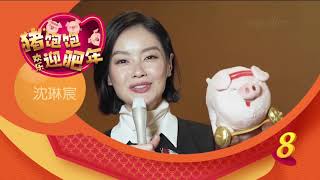 Happy Chinese New Year 新年快乐 2019 - Sheila Sim 沈琳宸