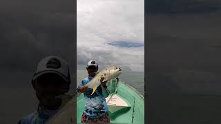 Jureles Gigantes pesca En Costa Rica