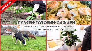 ГУЛЯЕМ НА ЯРМАРКЕ🍭ВЫПУСК СЧАСТЛИВЫХ КОРОВ🐄ВЫБИРАЮ ГОРТЕНЗИЮ🌸ПАСТА С КРЕВЕТКАМИ🍤