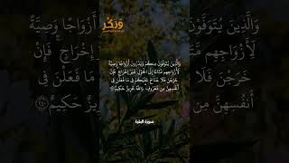 سورة البقرة الآيات من 240 إلى 241 بصوت القارئ مشاري راشد العفاسي #حالات واتس  #quran #shorts