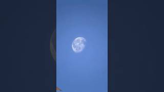 Zooming Moon from my phone #shortsfeed #youtubevideos #youtubeshorts #shorts