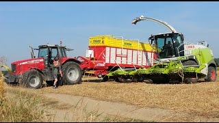 Kiszonka 2015 ☆ Claas Jaguar 950 & 4x Massey Ferguson, Fliegl