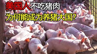 美国人明明不吃猪肉，为什么还能成为养猪大国？看完真是不得不服！