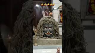 महाकाल की आरती 🪔 MRVPP #shiva #mahakal #bholenath #songs #shorts #shivaji #har #mrvpp