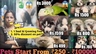 Delhi Cheapest Dog Pet Shop | India Best Pet Shop | Delhi kutta Market |  Dog Market Delhi NCR |