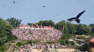 Puy du fou