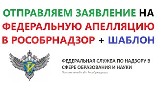 Как отправить заявление на федеральную апелляцию в Рособрнадзор