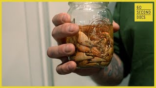 Luxury Crab Liquor | Tamworth Distilling