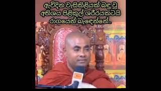 ☸️අැවිදින වැසිකිලියක් බදු වු අතිශය පිළිකුල්  ශරීරයකටයි රාගයෙන් බැදෙන්නෙ☸️