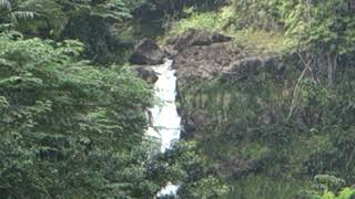 Akaka Falls