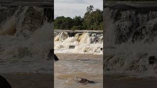 Sound of nature 😱😨#shorts #river