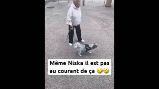 Comment ça Niska??🤣🤣🤣 #rapfr #rapfrancais #niska #drole #mdr #shortsviral #shortsvideo