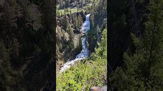 Undine Falls on the way to Mammoth Hot Springs  Yellowstone