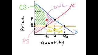 Price Ceilings - AP Economics