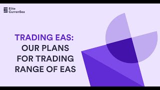 Zeus EA Draw-down Reviewed & Our Plans for Portfolio Approach